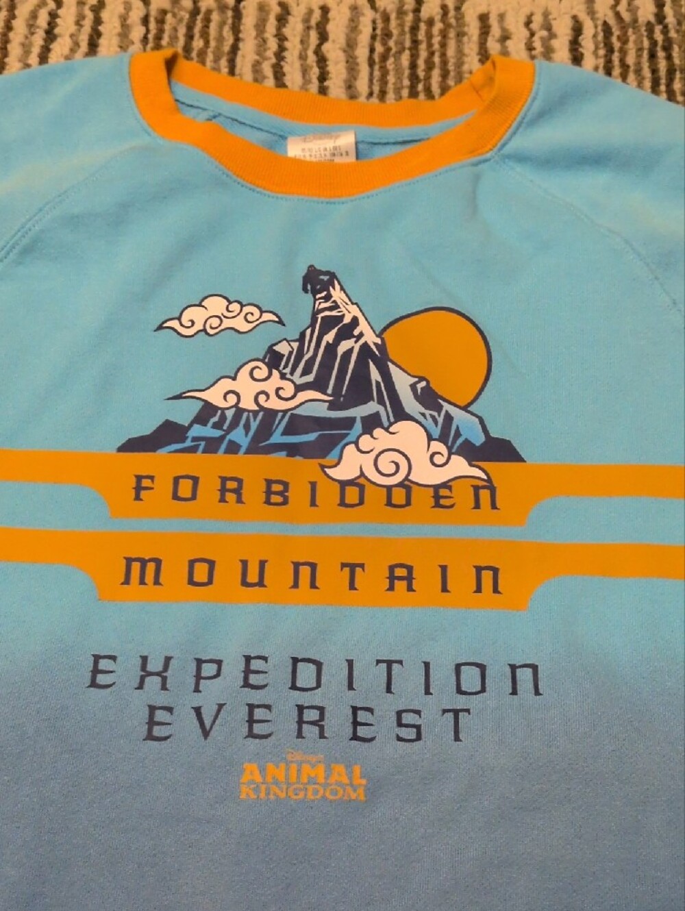 Disney Blue and Gold Forbidden Mountain Expedition Sweatshirt - Picture 6 of 12